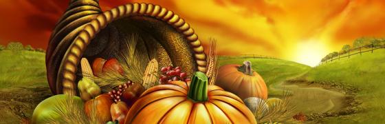 Don’t Blink (and have a happy Thanksgiving!!)